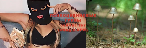 эйфоретик Баксан