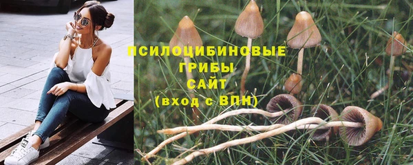 эйфоретик Баксан
