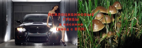 эйфоретик Баксан
